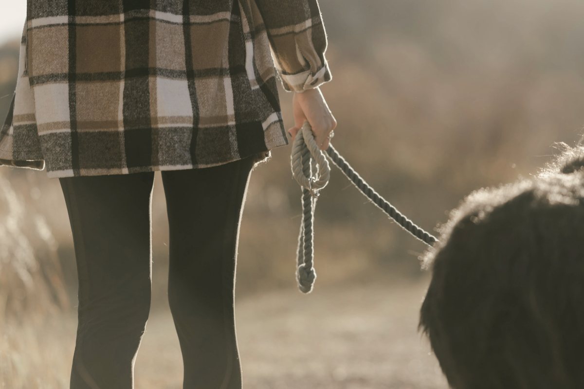 Hand hält die Leine locker, der Hund geht daneben