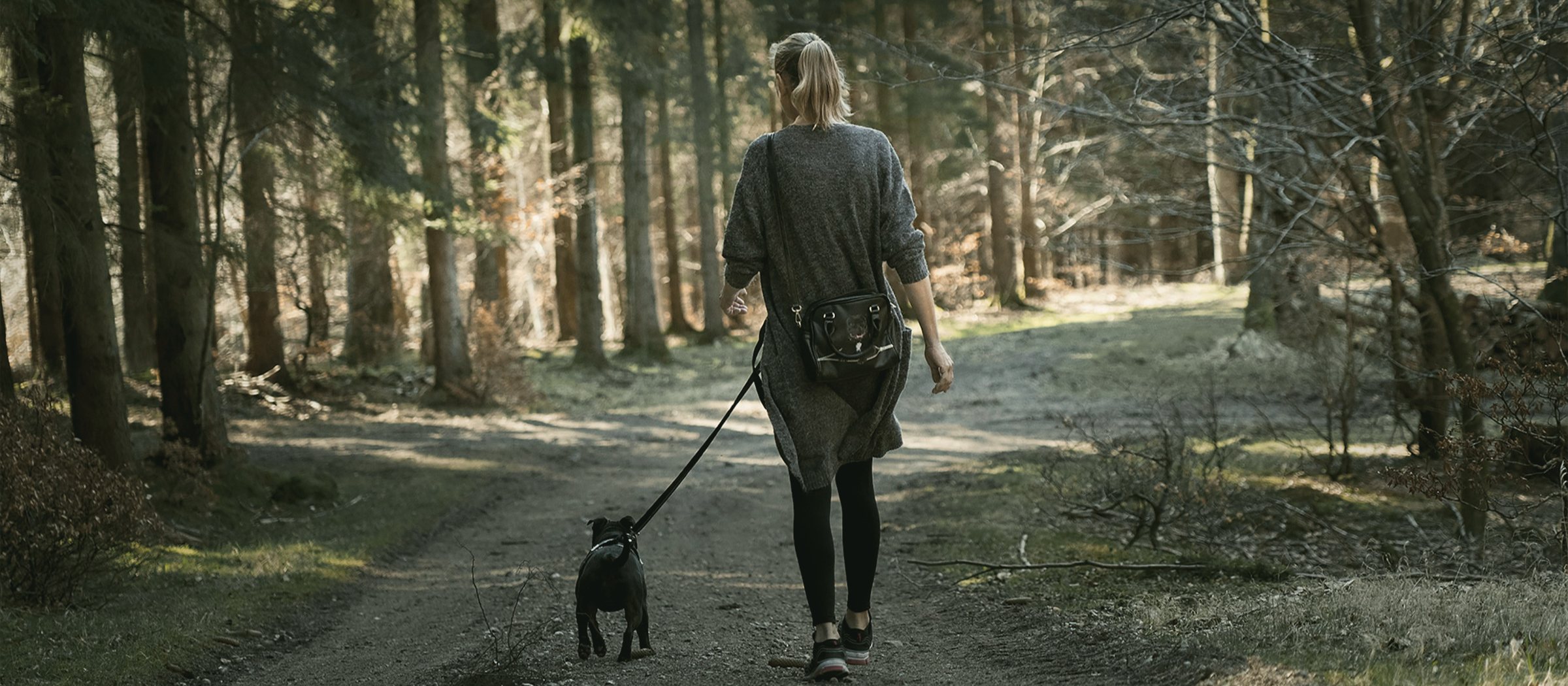 Mensch und Hund auf einem Waldweg, von hinten gesehen